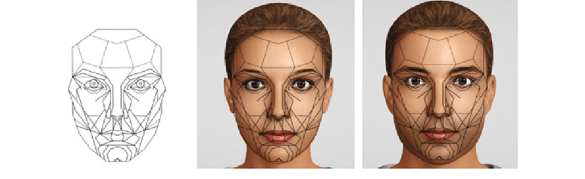 golden ratio face mask program